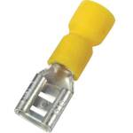 Kabelschoen lip female 4-6mm2 FDD5.5-250 geel