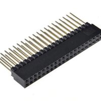 Pin header female pinsocket 2x20 pin 2.54mm pitch extended 12mm zwart