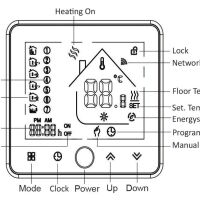 Modbus RS485 RTU Thermostaat BHT-002GCLN display functions