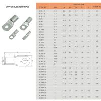 Kabelschoen ring 10mm voor 70mm2 SC70-10 blank vertind koper DTGA OEM - Afbeelding 4