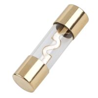 Zekering 10x38 AGU car audio versterker 100A