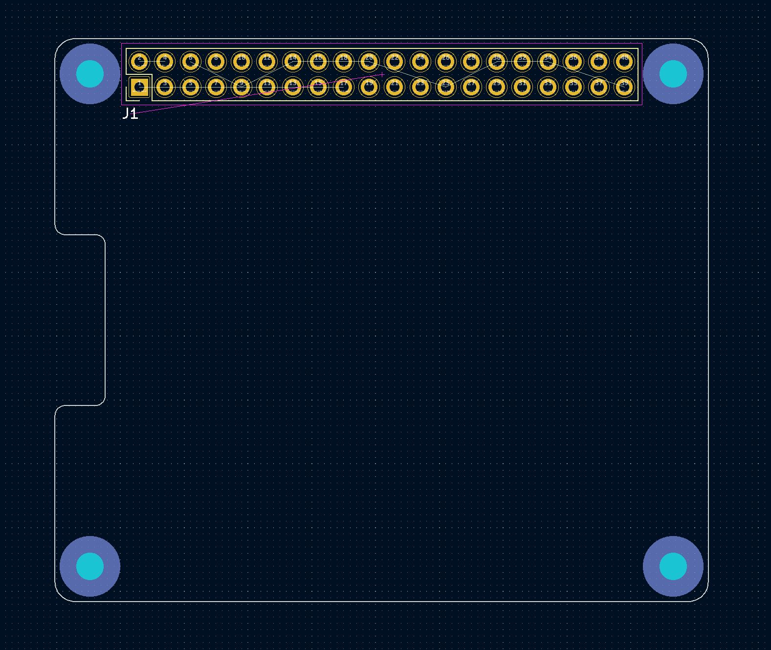 Raspberry Pi Hat Template 06